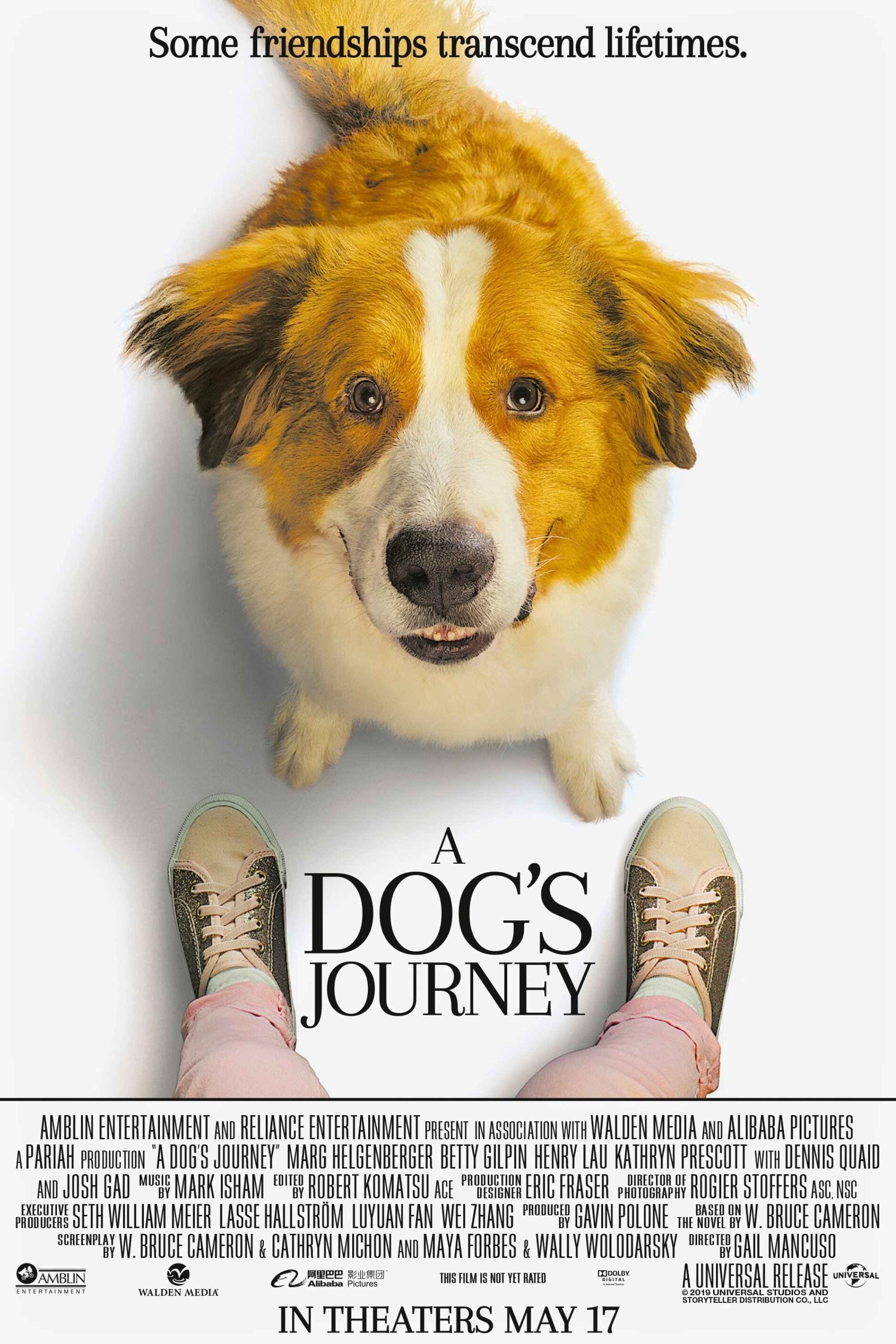 A Dog's Journey
